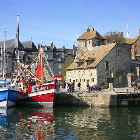 Studio Meuble Jacynthe Proche Le Havre - Etretat - Honfleur Saint-Romain-de-Colbosc Exterior photo